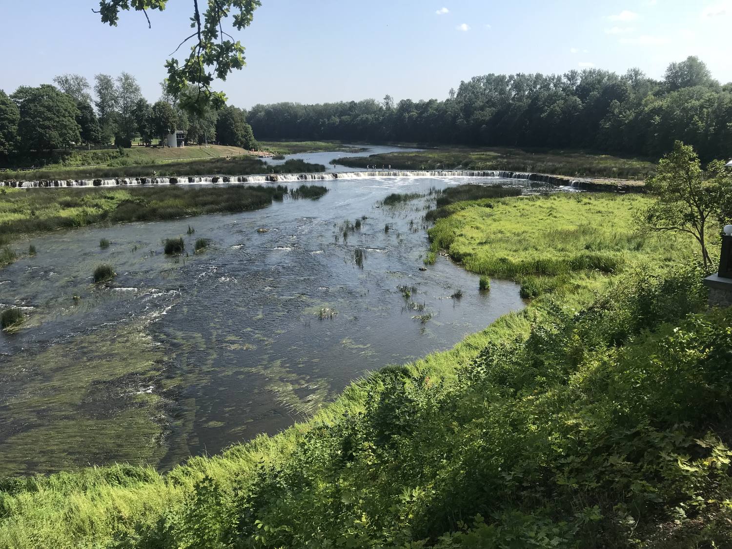 Breiter Fluss, der über eine flache Steinschwelle läuft und Stromschnellen bildet; an beiden Ufern Schilf und Laubwald.