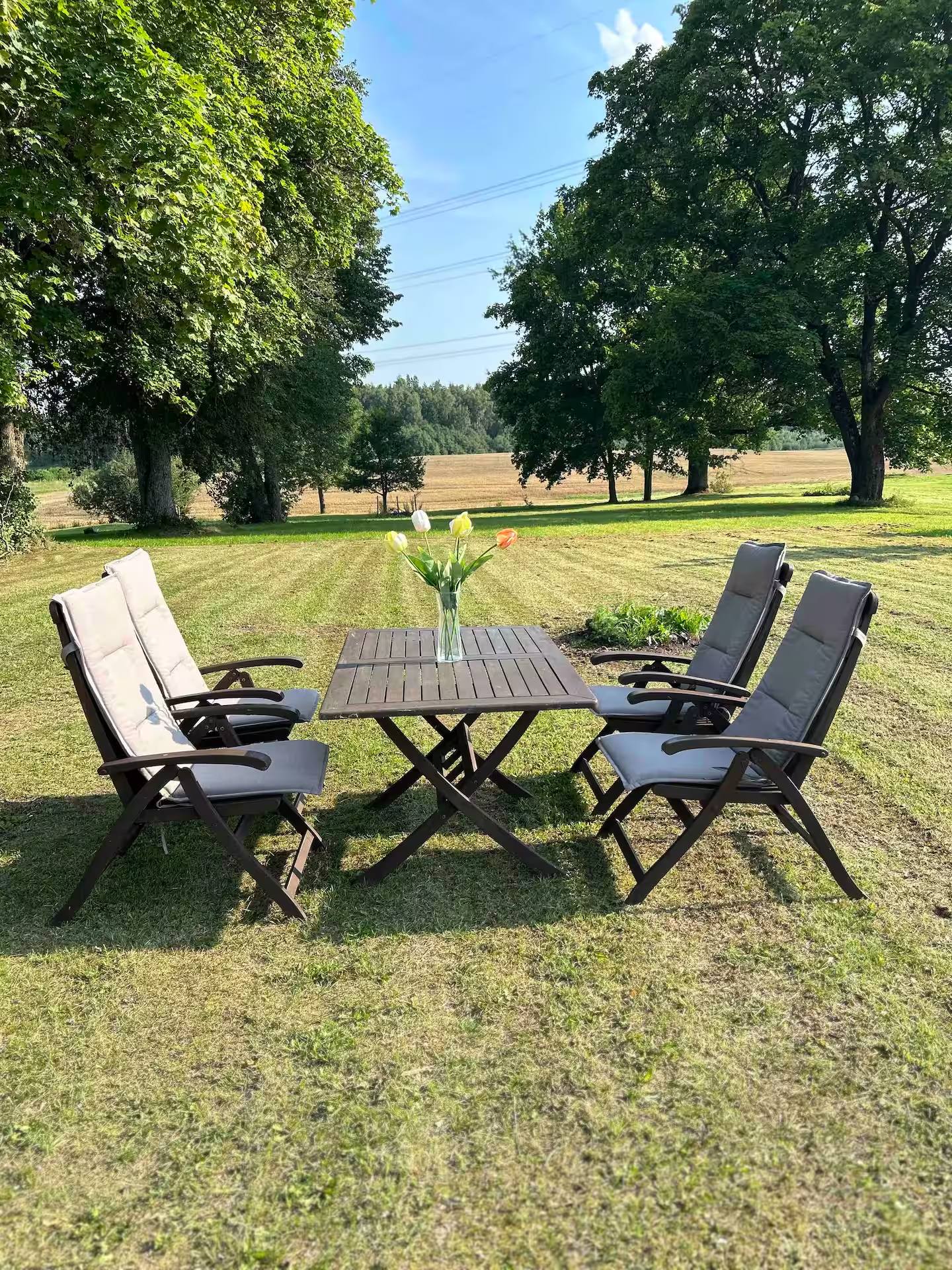 Holztisch mit vier gepolsterten Klappstühlen und einer Vase auf dem Rasen, ringsum alte Laubbäume und offene Wiese.
