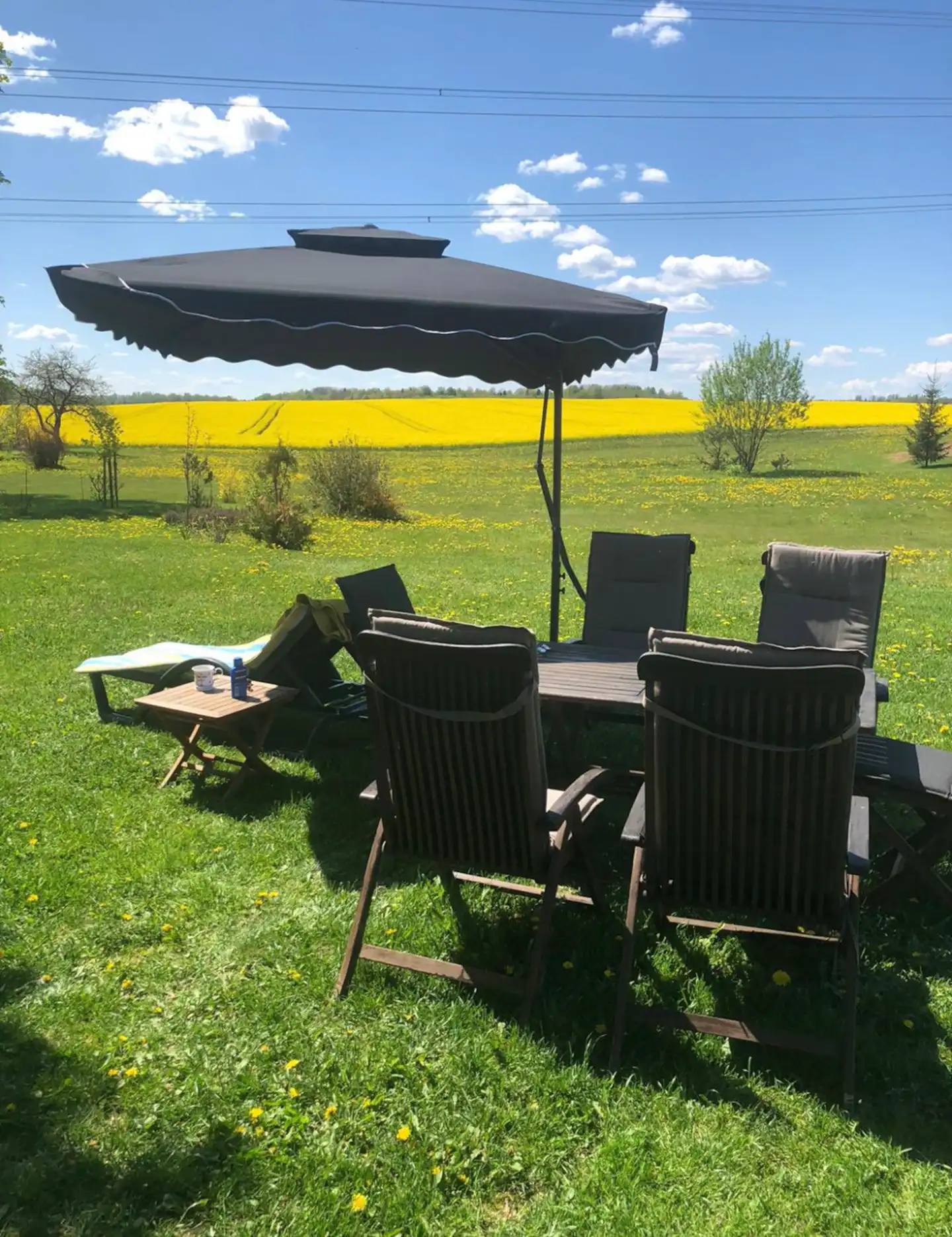 Gartentisch mit Stühlen unter einem geöffneten Sonnenschirm; dahinter ein blühendes gelbes Rapsfeld und Bäume.