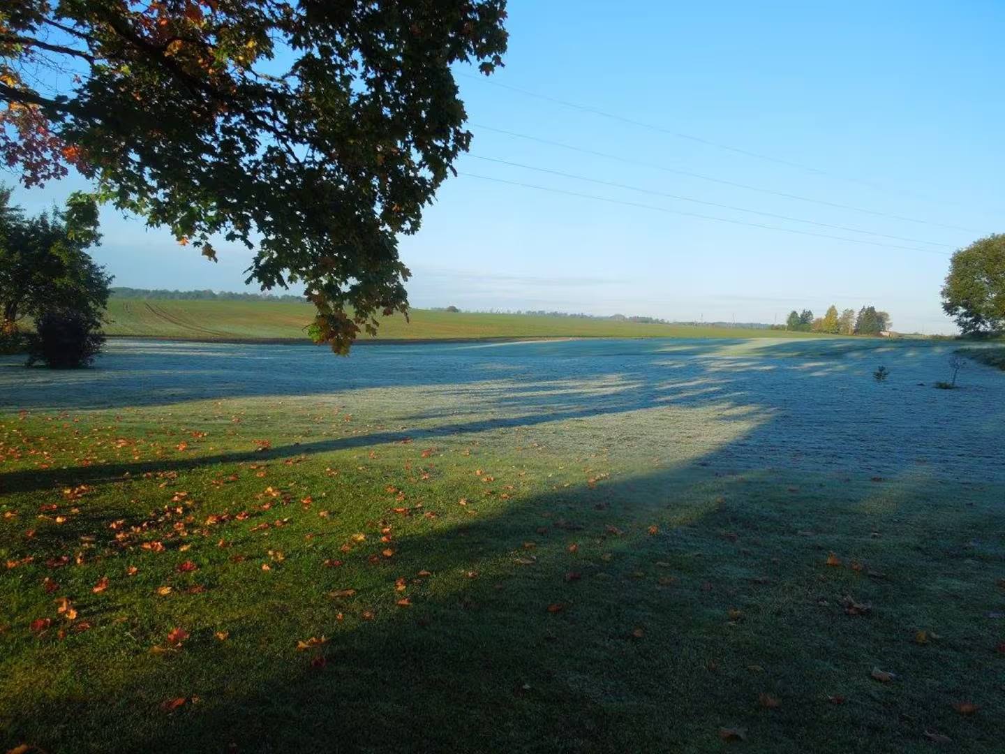 Blick über die abfallende Wiese im Herbst, gefallenes Laub im Vordergrund, am Horizont eine Baumreihe und heller Himmel.